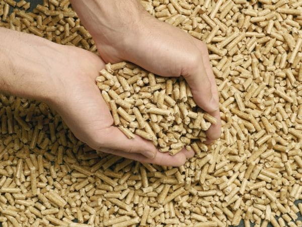 pellet.jpg